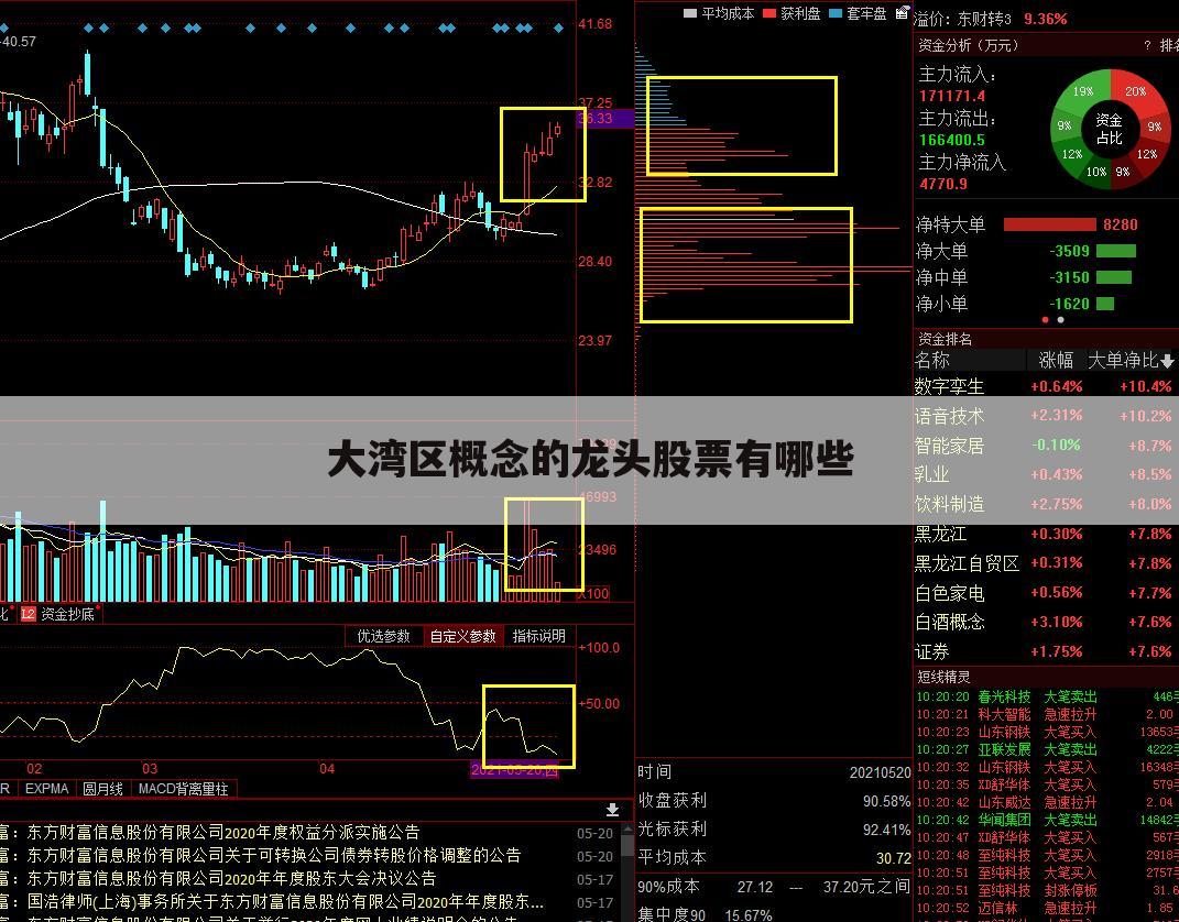 龙头股票是什么股型的概念 龙头股票是什么股型的概念股