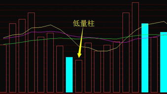型图股票柱 股票柱状图基础知识