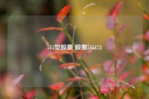 515型股票 股票515173