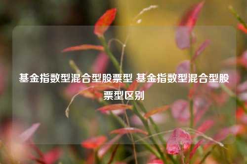基金指数型混合型股票型 基金指数型混合型股票型区别