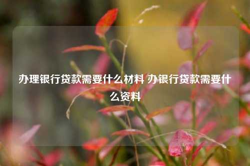 办理银行贷款需要什么材料 办银行贷款需要什么资料