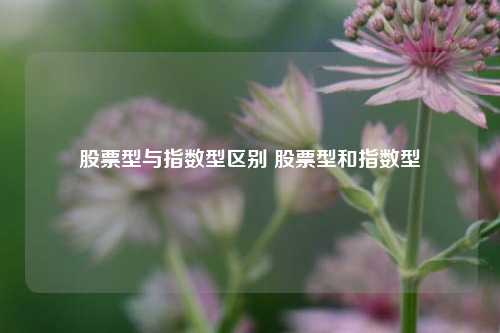 股票型与指数型区别 股票型和指数型