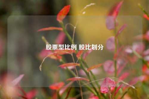 股票型比例 股比划分