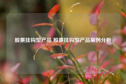 股票挂钩型产品 股票挂钩型产品案例分析