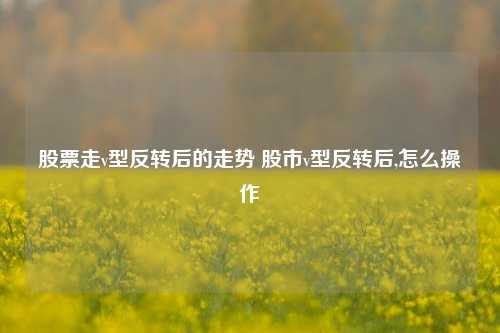 股票走v型反转后的走势 股市v型反转后,怎么操作