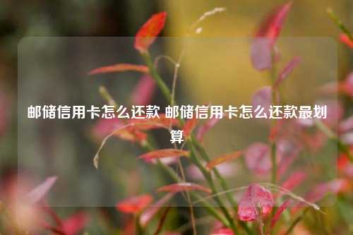 邮储信用卡怎么还款 邮储信用卡怎么还款最划算