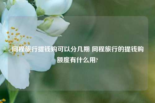 同程旅行提钱购可以分几期 同程旅行的提钱购额度有什么用?