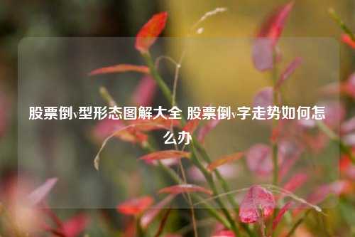 股票倒v型形态图解大全 股票倒v字走势如何怎么办