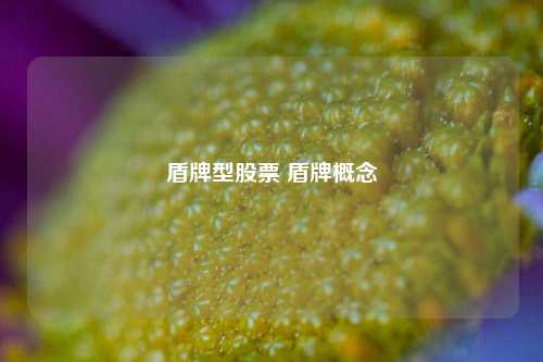 盾牌型股票 盾牌概念