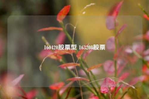 160420股票型 163208股票