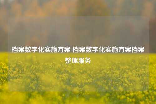 档案数字化实施方案 档案数字化实施方案档案整理服务