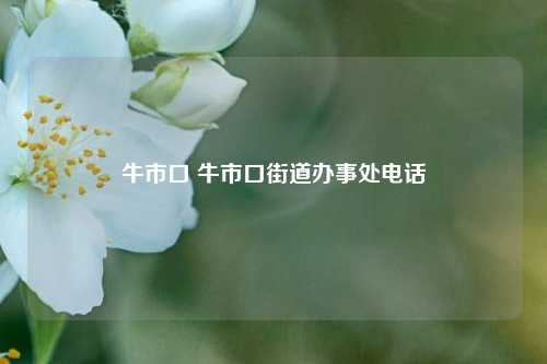 牛市口 牛市口街道办事处电话