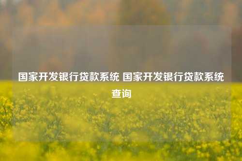 国家开发银行贷款系统 国家开发银行贷款系统查询