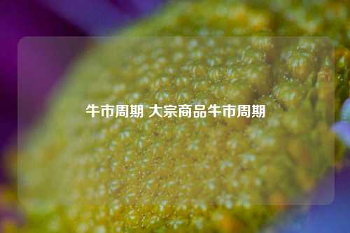 牛市周期 大宗商品牛市周期