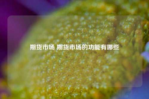 期货市场 期货市场的功能有哪些
