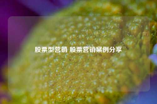 股票型营销 股票营销案例分享