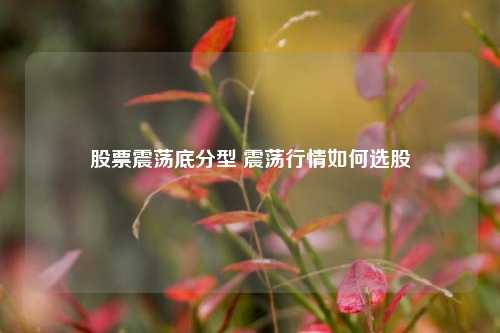 股票震荡底分型 震荡行情如何选股