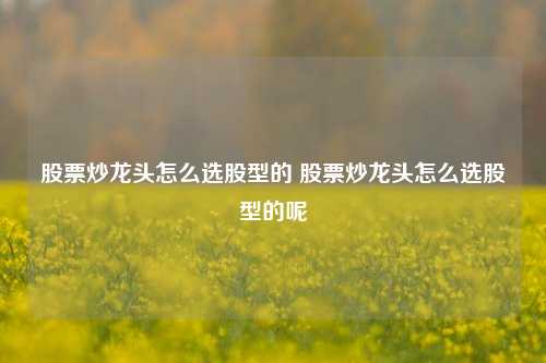 股票炒龙头怎么选股型的 股票炒龙头怎么选股型的呢