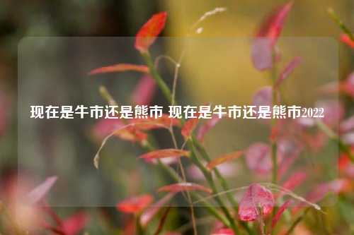 现在是牛市还是熊市 现在是牛市还是熊市2022
