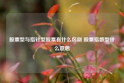 股票型与指针型股票有什么区别 股票指数型什么意思