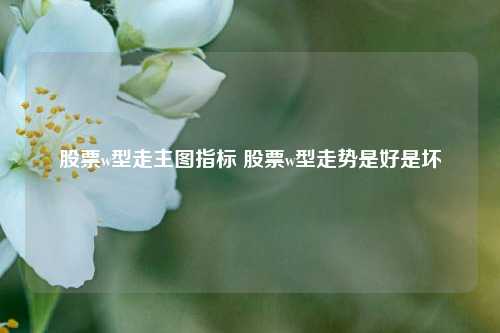 股票w型走主图指标 股票w型走势是好是坏