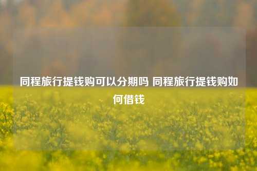同程旅行提钱购可以分期吗 同程旅行提钱购如何借钱