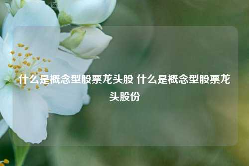 什么是概念型股票龙头股 什么是概念型股票龙头股份