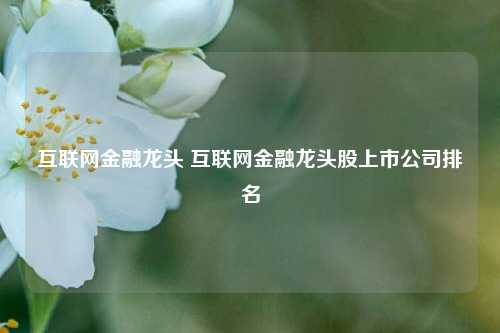 互联网金融龙头 互联网金融龙头股上市公司排名