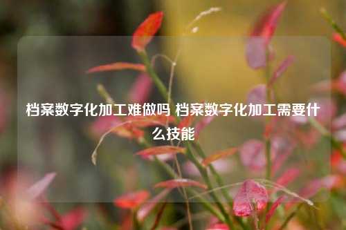 档案数字化加工难做吗 档案数字化加工需要什么技能