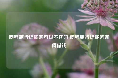 同程旅行提钱购可以不还吗 同程旅行提钱购如何借钱