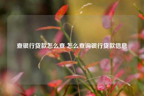 查银行贷款怎么查 怎么查询银行贷款信息