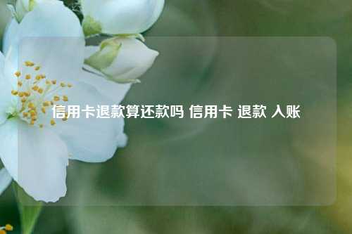 信用卡退款算还款吗 信用卡 退款 入账