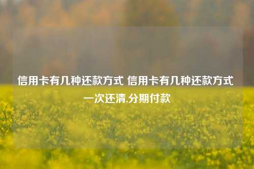 信用卡有几种还款方式 信用卡有几种还款方式 一次还清,分期付款
