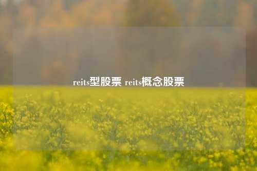 reits型股票 reits概念股票