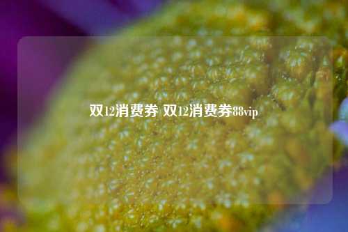 双12消费券 双12消费券88vip