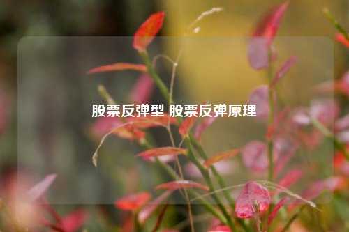 股票反弹型 股票反弹原理