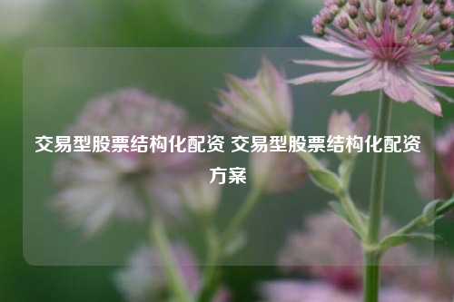 交易型股票结构化配资 交易型股票结构化配资方案
