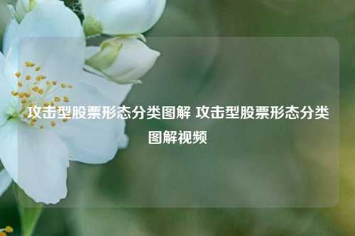 攻击型股票形态分类图解 攻击型股票形态分类图解视频