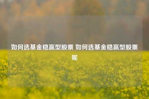 如何选基金稳赢型股票 如何选基金稳赢型股票呢