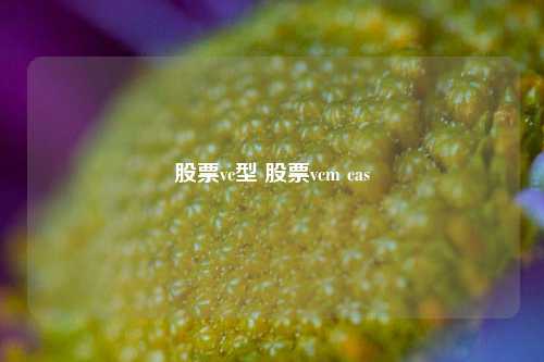 股票vc型 股票vcm cas
