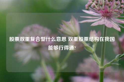 股票双重复合型什么意思 双重股票结构在我国能够行得通?
