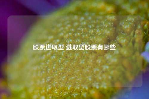 股票进取型 进取型股票有哪些