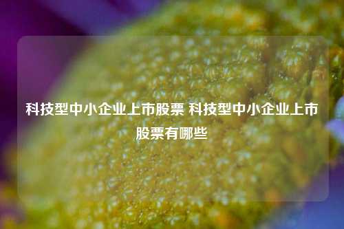 科技型中小企业上市股票 科技型中小企业上市股票有哪些