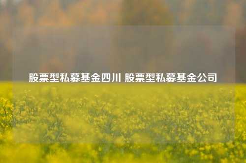 股票型私募基金四川 股票型私募基金公司