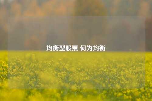 均衡型股票 何为均衡