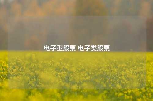 电子型股票 电子类股票