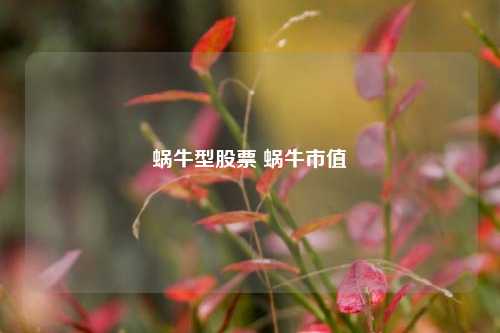蜗牛型股票 蜗牛市值