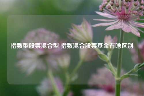 指数型股票混合型 指数混合股票基金有啥区别