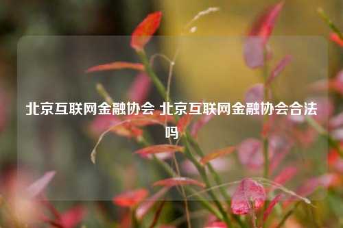 北京互联网金融协会 北京互联网金融协会合法吗