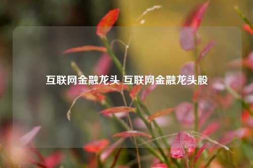 互联网金融龙头 互联网金融龙头股